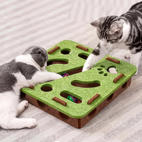 KittyQuest – Interactive Cat Puzzle